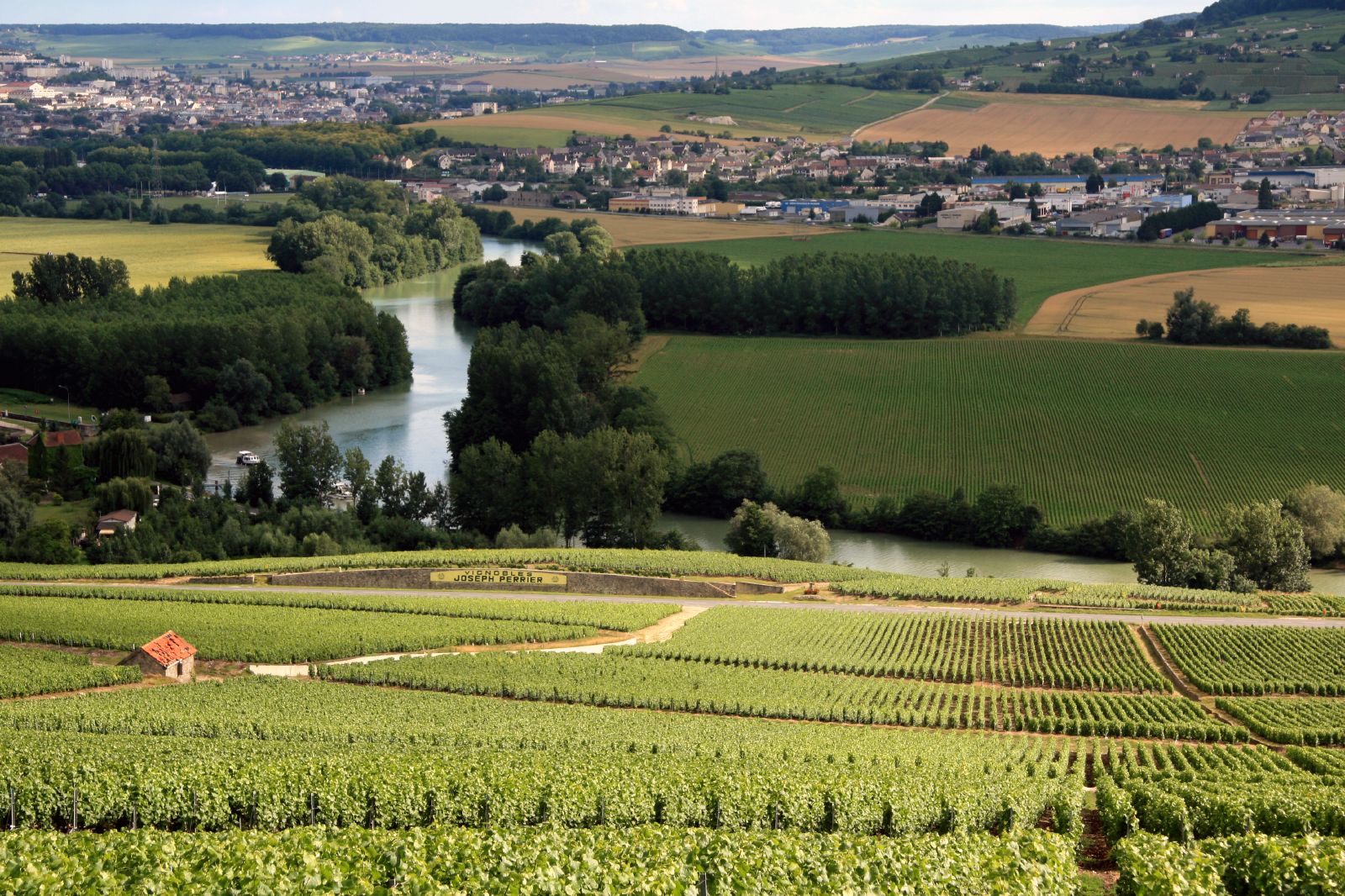 Vineyards near Hautvillers and Cumières with the Marne in the distance